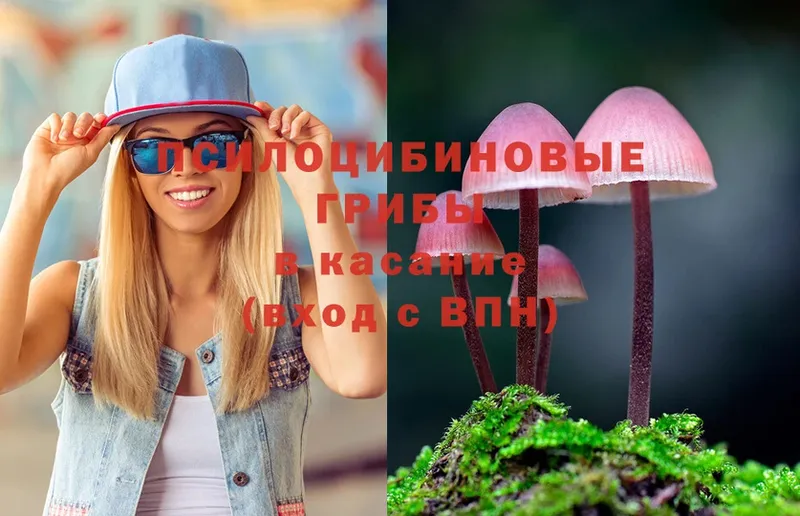 Псилоцибиновые грибы Psilocybe  ОМГ ОМГ ссылка  Татарск 